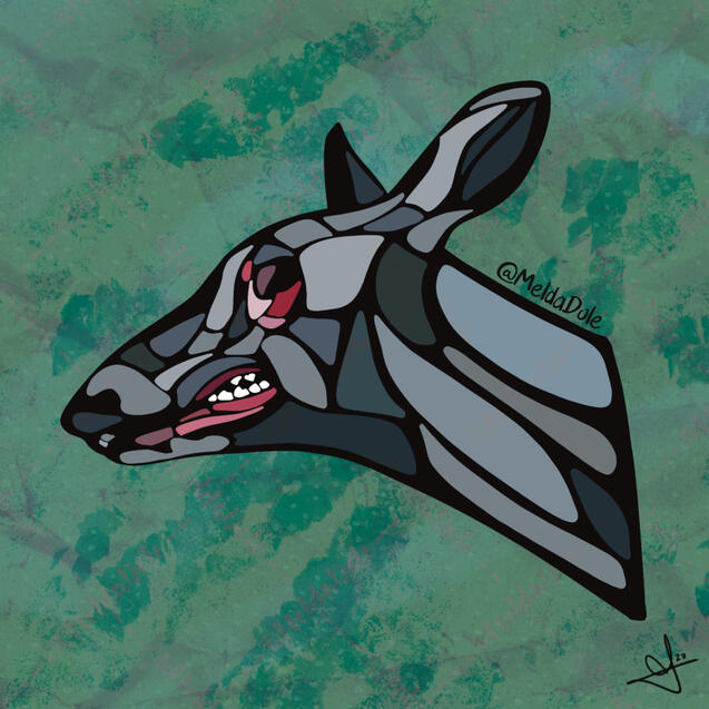 decaying deer